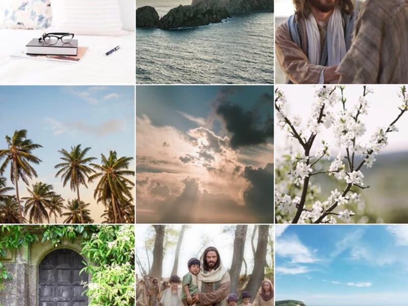 The Instagram photo stream for The Small Seed is shown.