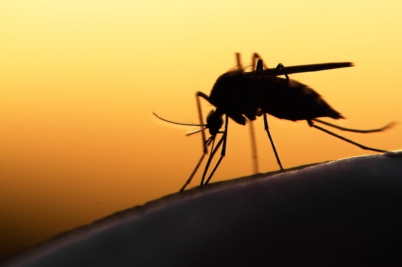 Health agencies are worried about a rise in people who contract malaria, which is a mosquito-borne disease.