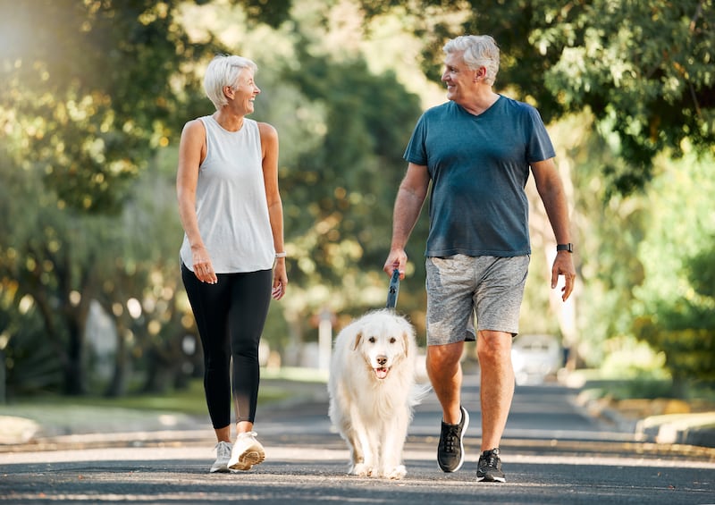 A couple walk their dog in a park.