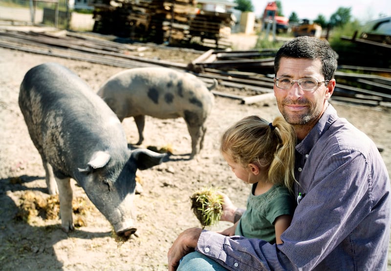 Shayn Bowler, a third-generation animal farmer, checks on his pigs with daughter, Harper, at his farm in West Jordan on Friday, Aug. 31, 2018. In addition to selling beef and pork, Bowler sells the organs of animals. The debate grows over whether using an