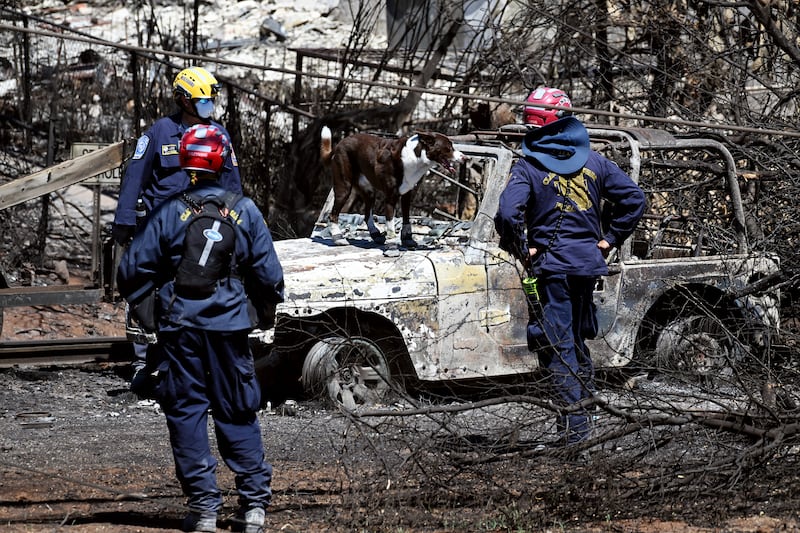 Crews use dogs to search for human remains as they move from structure to structure and car to car.