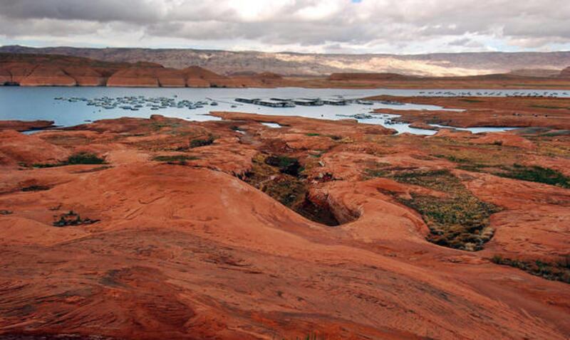 A man who died at Lake Powell last year jumped into water charged with electricity from a boat plugged into the wrong size power outlet at the marina, a federal lawsuit says.