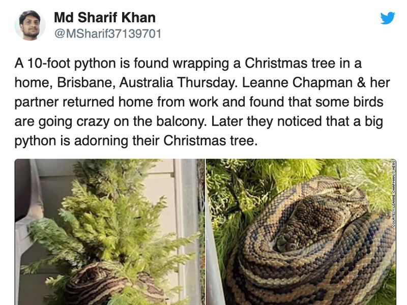 Partridges, pear trees and golden rings — that’s what you expect to receive during the 12 days of Christmas.