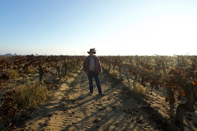 ‘Harvest of Faith’ Part 1: A look at the Church’s welfare farms