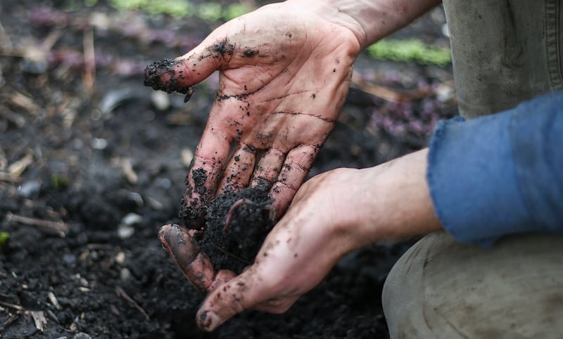 Elliot Musgrove examines an earthworm he found while weeding his urban farm in his backyard in Salt Lake City on Friday, April 12.
