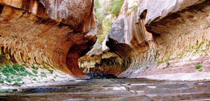 The Subway, a slot canyon in Zion National Park, gets its name from its tunnel-shaped chamber. Water tumbles through a narrow crack in the rocks.