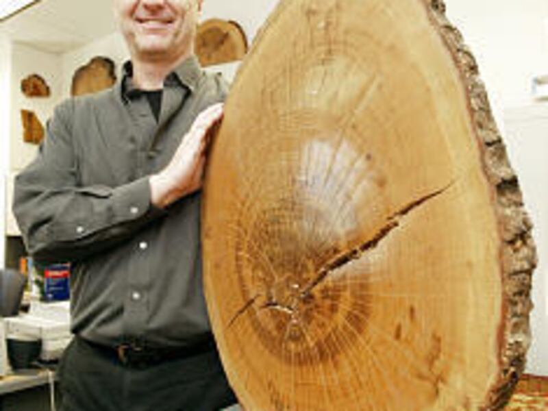 Henri Grissino-Mayer, a tree-ring expert at the University of Tennessee, says dense wood may have created superior violins.