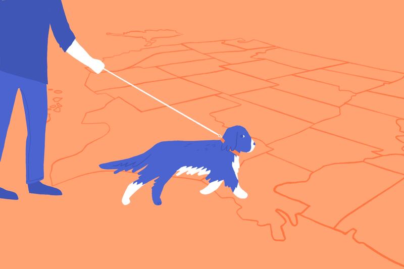 An illustration of walking dogs.