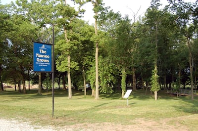 A site in Nauvoo (2006) representative of the groves where the Saints would meet to hear from leaders.