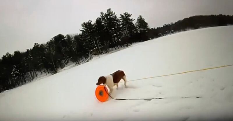 In this image provided by Michigan State Police, a dog named Ruby grasps a rescue disc tethered to a rope on Jan. 18, 2024.