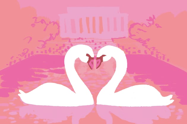 Dating in D.C. gets political