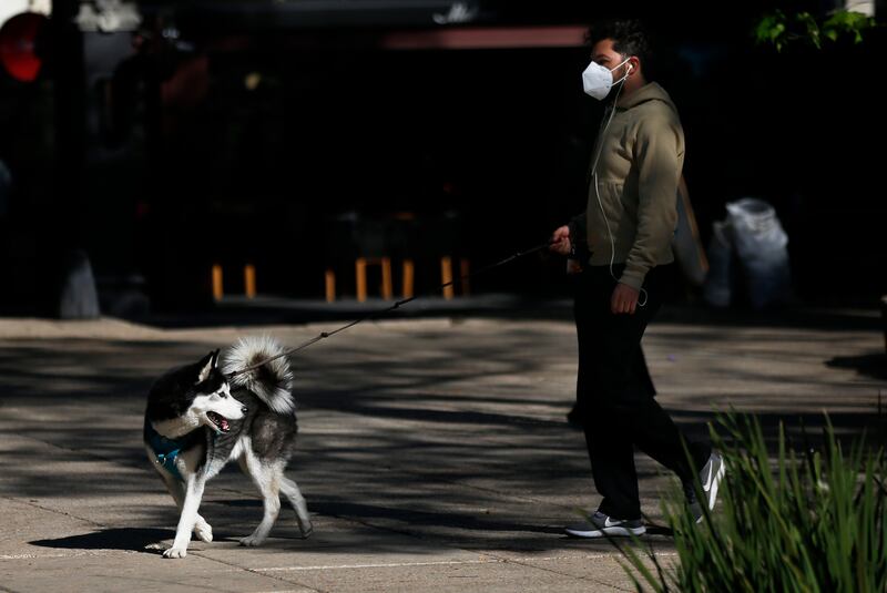 A man walks his dog along Paseo de la Reforma in Mexico City, Monday, Jan. 25, 2021, during the COVID-19 pandemic.
