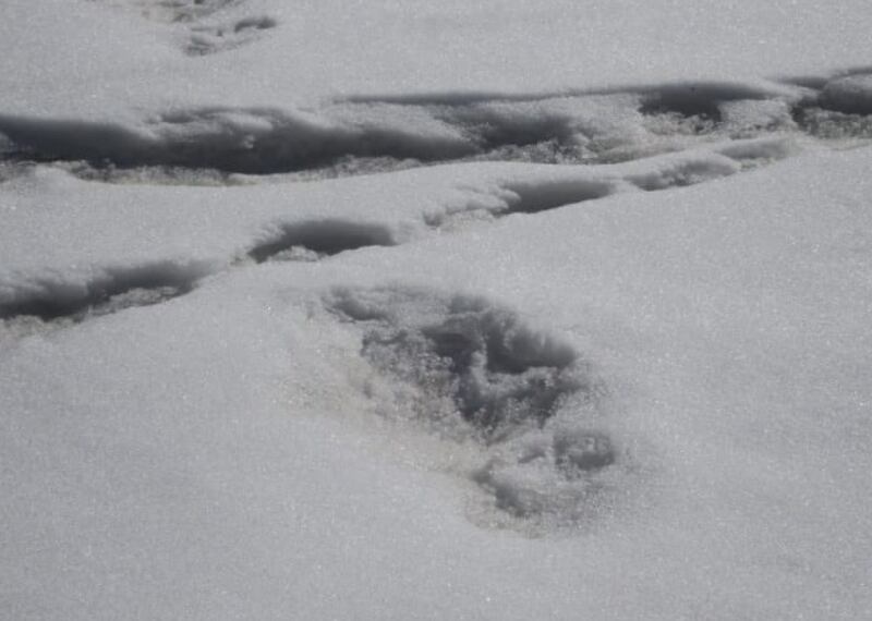 The Indian Army tweeted several images Monday that they claim are footprints of the fabled yeti.