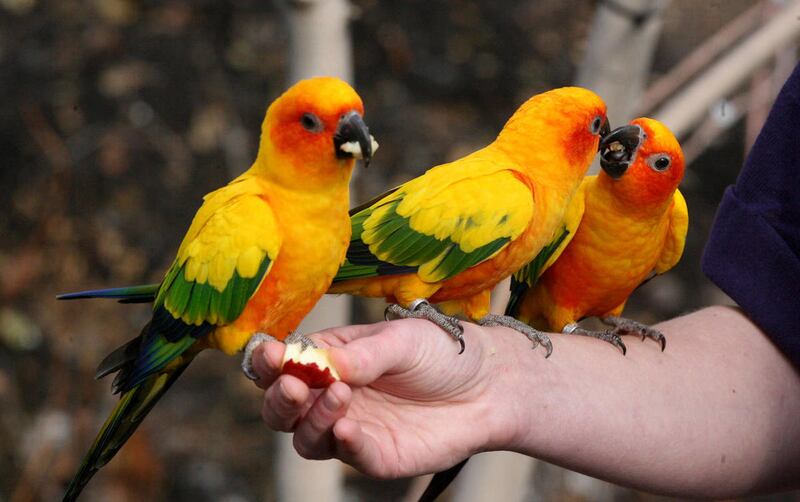 Tracy Aviary