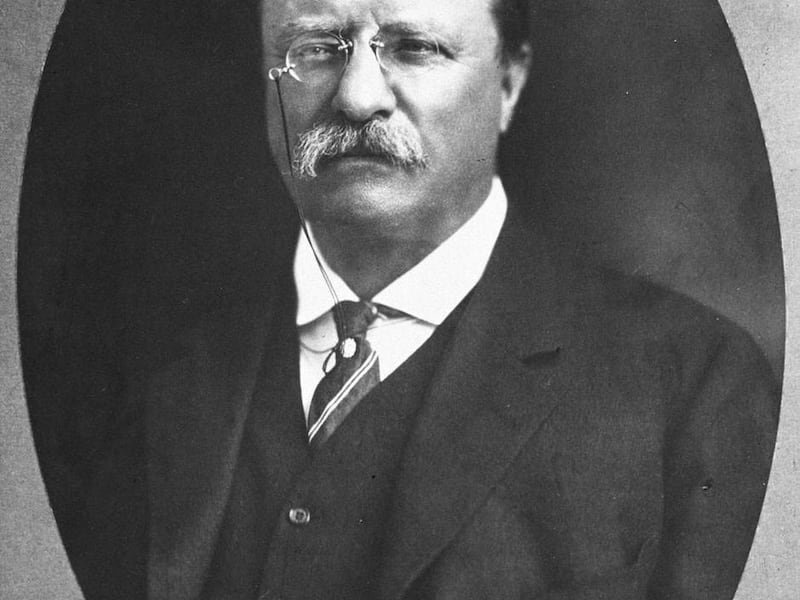 377869 26: Portrait of 26th United States President Theodore Roosevelt. (1858-1919)