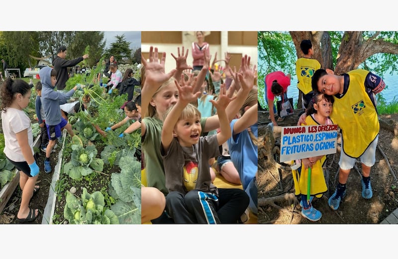 A montage of photos showing examples of Primary service activities in New Zealand, Utah and Mexico.