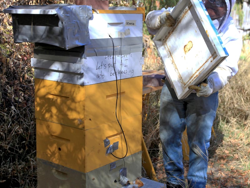 In a Monday, Oct. 17, 2017 photo, Vladimir Kulyukin prepares to change a battery in a BeePi system at a honeybee hive in Logan, Utah. The Utah State University computer science professor started a Kickstarter campaign for the device and surpassed his goal