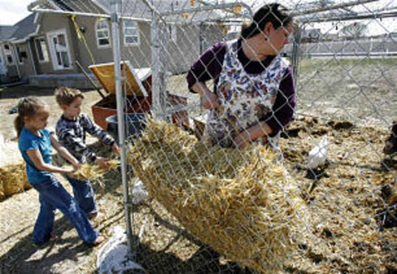 Thrill-seekers ride Lagoon's wooden roller coaster last summer.