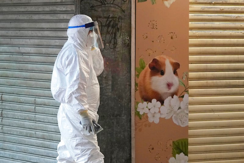 A pet shop was closed after some pet hamsters tested positive for the coronavirus.
