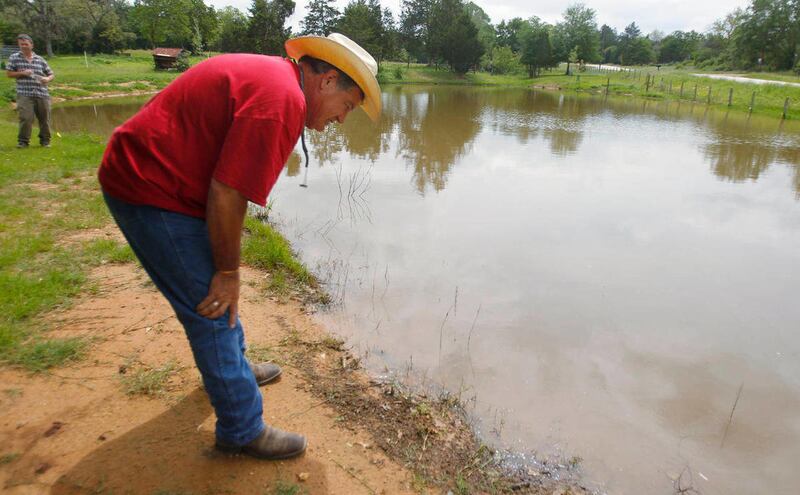 Men Pair Up To Try Saving Endangered Houston Toad Deseret News men-pair-up-to-try-saving-endangered-houston-toad-deseret-news