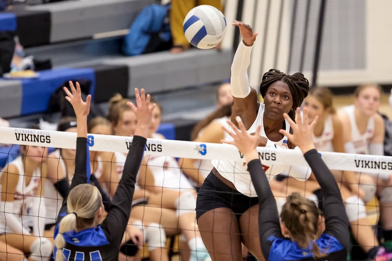 Mountain View’s Mia Lee, wearing white, hits the volleyball