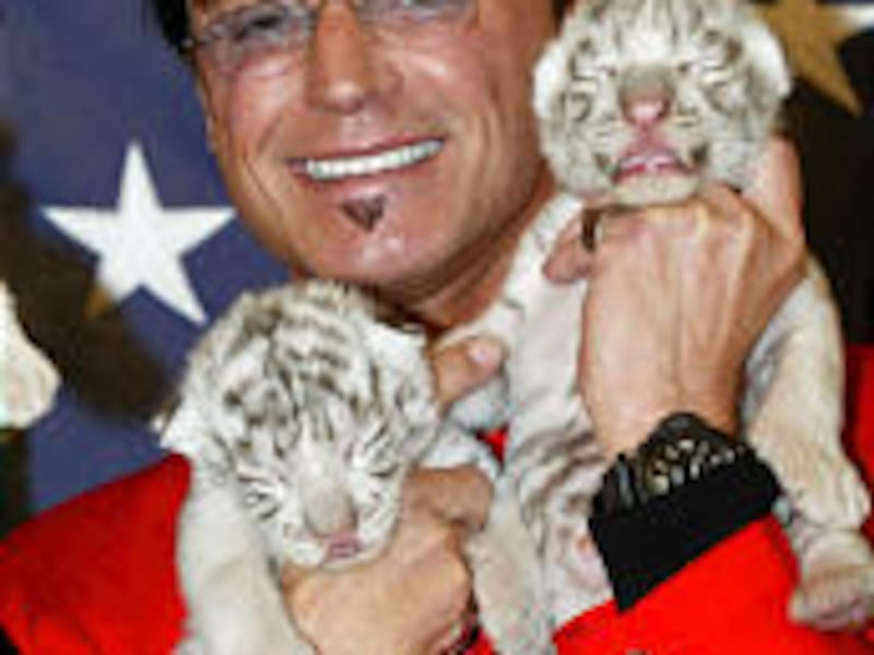 Las Vegas illusionist Roy Horn, shown last year with white tiger cubs, was mauled by a tiger during a show Friday night.