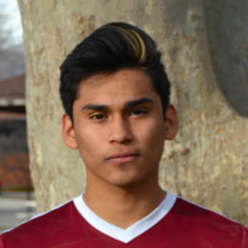 Cris Zamorano, Mountain View