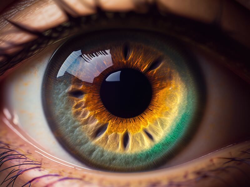 A new study claims early signs of Alzheimer’s disease could show in your retinas.