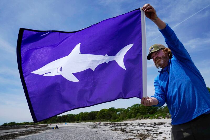 Jim Britt, communications director with the Maine Dept. of Agriculture, Conservation and Forestry, holds a shark flag in Maine.
