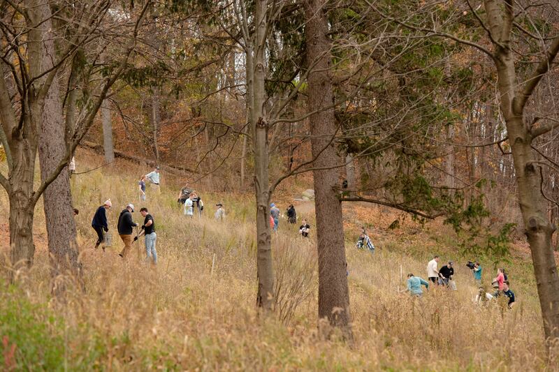 Missionaries from the New York Syracuse Mission plant tree nuts and seeds as part of the reforestation of the Hill Cumorah.