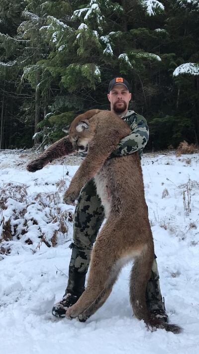 Hunting guide Shawn Winegar holds a mountain lion he shot in Montana in December. He later rescued Bill Bymaster of Bountiful after Bymaster got stuck in the snow in his rental car. Bymaster broke his leg walking out and was urinated on by the mountain li