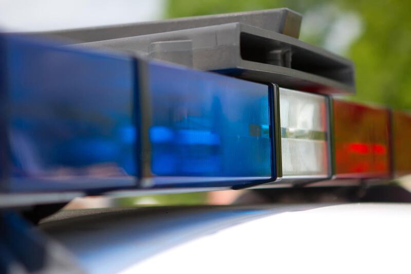 Multiple people are in custody after police say a disagreement between a group of men and the escorts they hired ended with an errant gunshot fired in a West Jordan neighborhood early Thursday.