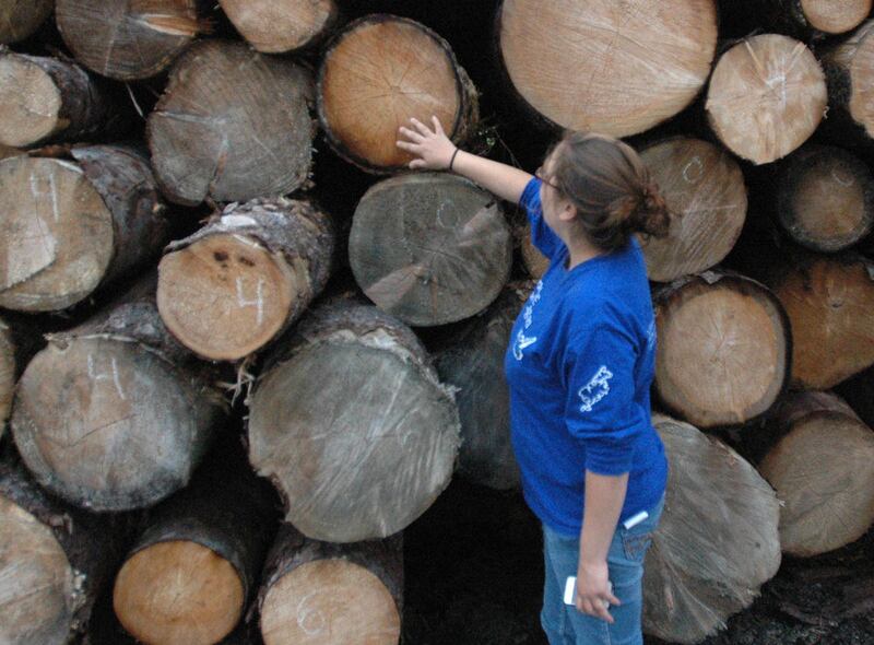 In this, Skyler Anderson of Ouzinkie, Alaska, shows off some of the timber cleared during construction of the village's new airport on July 30, 2011, in Ouzinkie, Alaska. For three years, Island Heritage Tours, a for-profit subsidiary of the nonprofit Spr