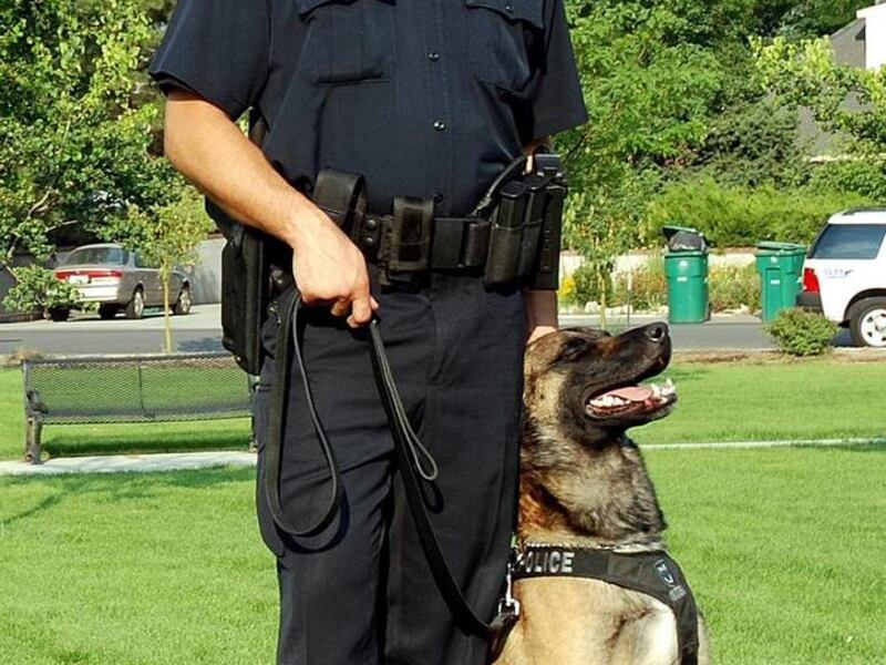 Draper police officer Ben Beglarian along with his K-9 Yasso, pictured in this city photograph, was caught allegedly smoking drugs inside a marked police vehicle Friday, Aug. 19, 2011.