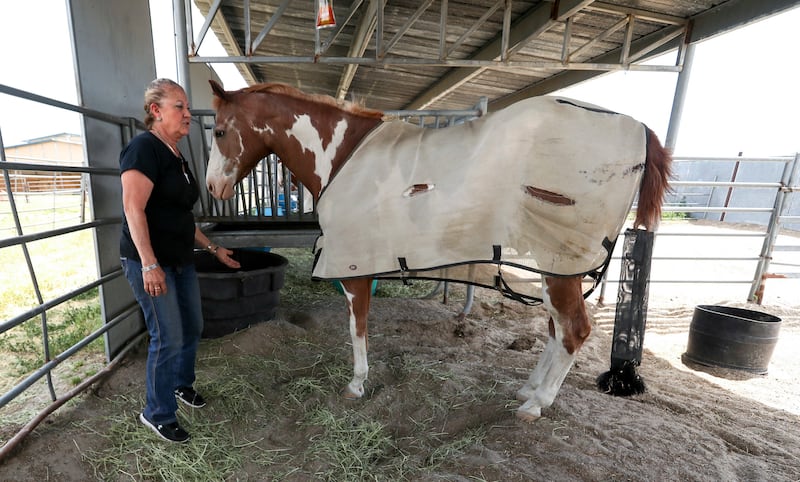 Bonnie Christensen is pictured with one of her horses on her farm in Salt Lake City on Wednesday, June 26, 2019. Christensen bumped her leg and when it wouldn't heal she found out she has a common condition called chronic venous insufficiency.