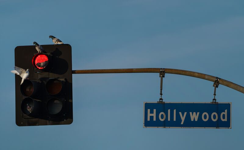 Pigeons gather on a red light on Hollywood Blvd., in Los Angeles Tuesday, Jan. 5, 2021. Los Angeles is the epicenter of California’s surge that is expected to get worse in coming weeks when another spike is expected after people traveled or gathered for Christmas and New Year’s.