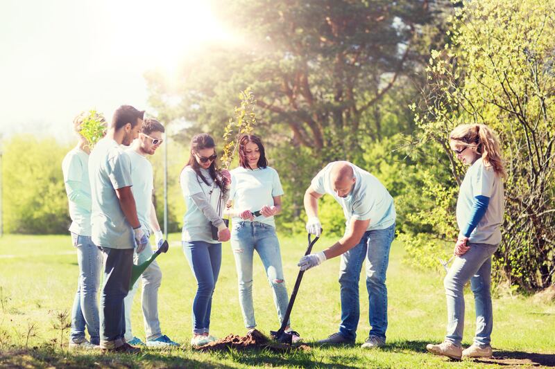 FILE - The Orem Park Maintenance Division is looking for volunteers to adopt a spot at Nielsen’s Grove Park, 2000 Sandhill Road.