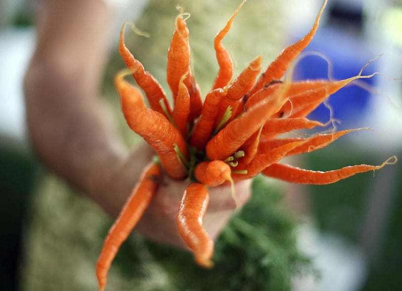 Carrots at a past farmers market at Pioneer Park in Salt Lake City.