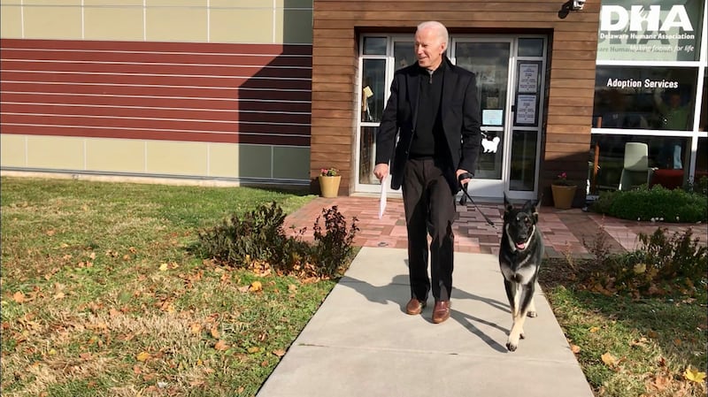 This Nov. 16, 2018, photo, file provided by the Delaware Humane Association shows Joe Biden and his newly-adopted German shepherd Major, in Wilmington, Del.