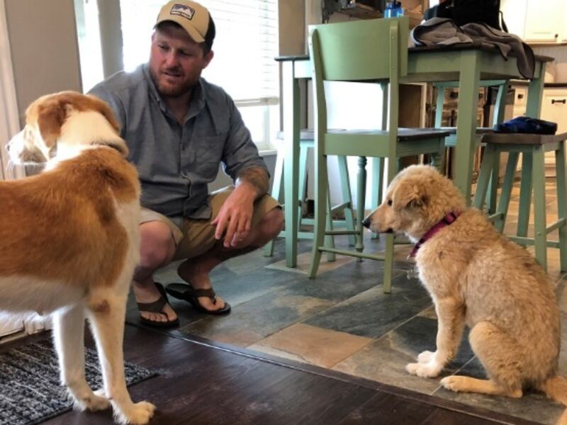 Shane Lucey spends time with Lucky and Charm at his home in Grantsville on Tuesday, May 7, 2019. Lucey, an Army veteran who worked in Iraq as a civilian after he deployed, rescued Lucky over a year ago. Last summer, when Lucey returned to Baghdad after a