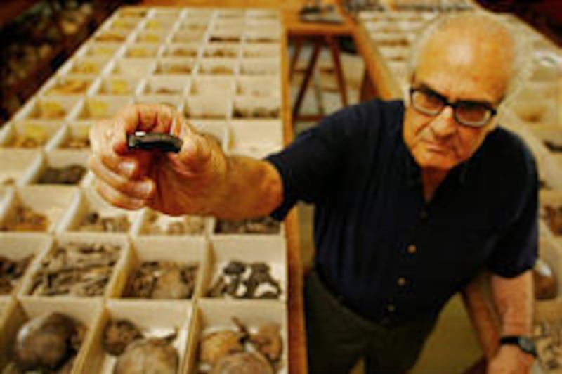 Mexican professor Federico Solorzano shows the supraorbital arch from the fossil of an early hominid.