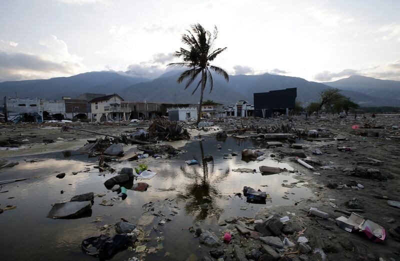 A lone tree stands in the debris from structures that were wiped out after a massive earthquake and tsunami hit Palu, Central Sulawesi, Indonesia Thursday, Oct. 4, 2018. Life is on hold for thousands living in tents and shelters in the Indonesian city hit