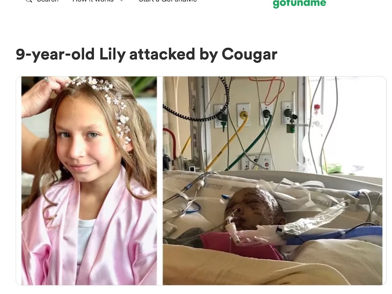 Lily Kryzhanivskyy, who fought off a cougar attack before being rescued, is recovering at home.