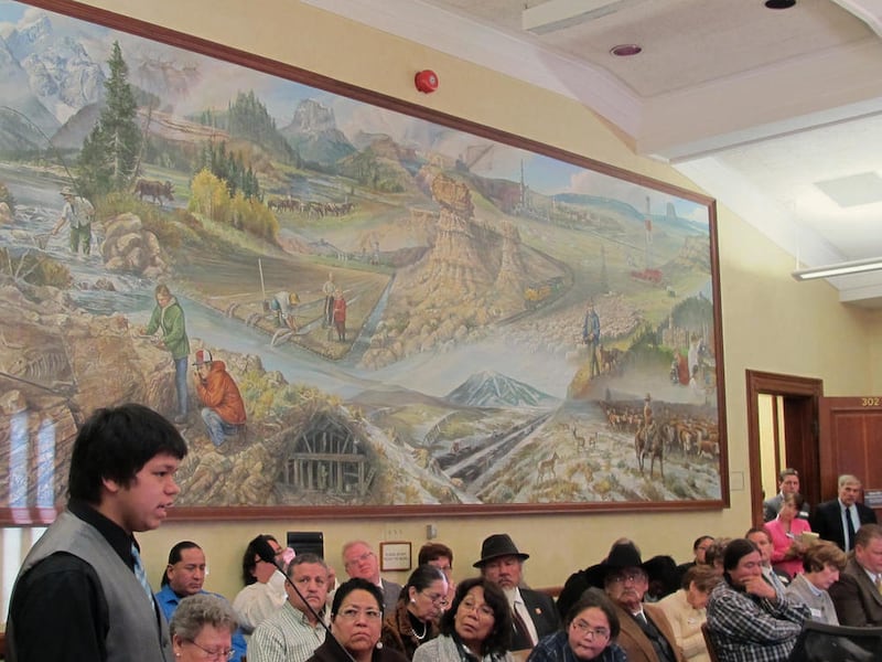 Whitecloud Sun Rhodes, 14 of the Wind River Indian Reservation, speaks in favor of expanding the federal Medicaid program in Cheyenne, Wyo., on Monday, Jan. 19, 2015, Sun Rhodes addressed a meeting of the Senate Labor, Health and Social Services Committee