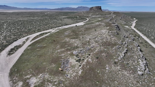 Will lower fees drive more oil and gas leasing on public land?