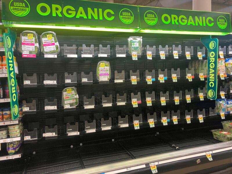 Empty organic produce section in a grocery store