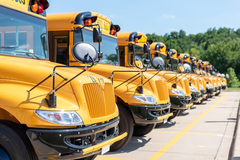 A row of parked school buses.