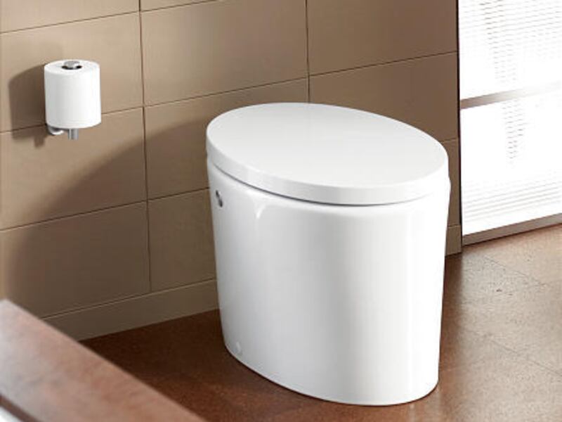 Electric toilets have been around for years and are sometimes referred to as "power-lite" toilets.