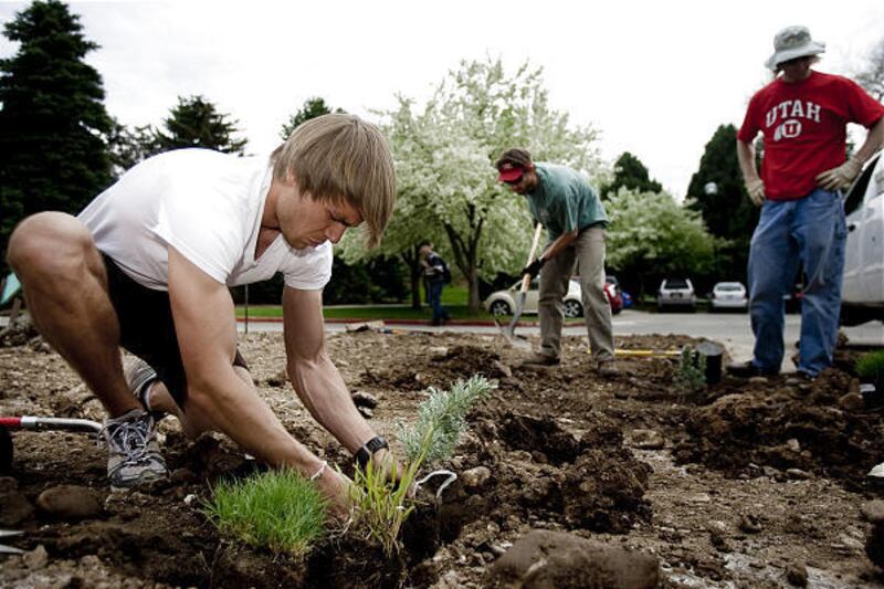 Thomas Walsh, left, places plants as Dasch Houdeshel, center, both University of Utah students, digs holes for other plants, and civil engineering professor Steve Burian watches the progress on what will be a rain garden near the Civil and Materials Engin