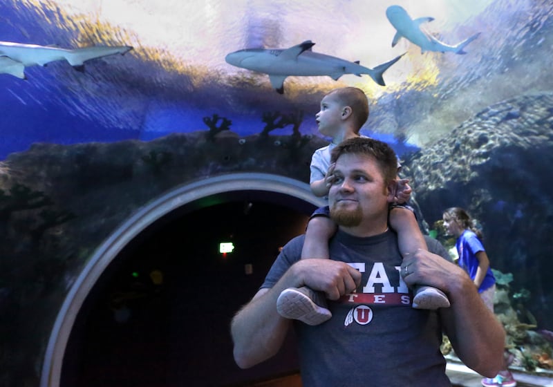 Clark Siler sits on his father Laursen Siler's shoulders while checking out sharks and fish at the Loveland Living Planet Aquarium in Draper.